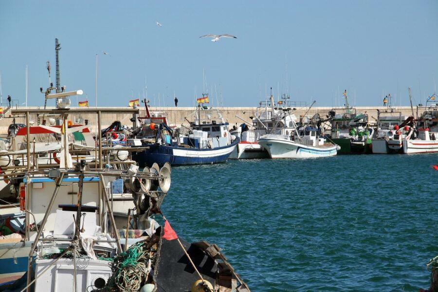 Vinaros Junto Al Mar Daire Dış mekan fotoğraf